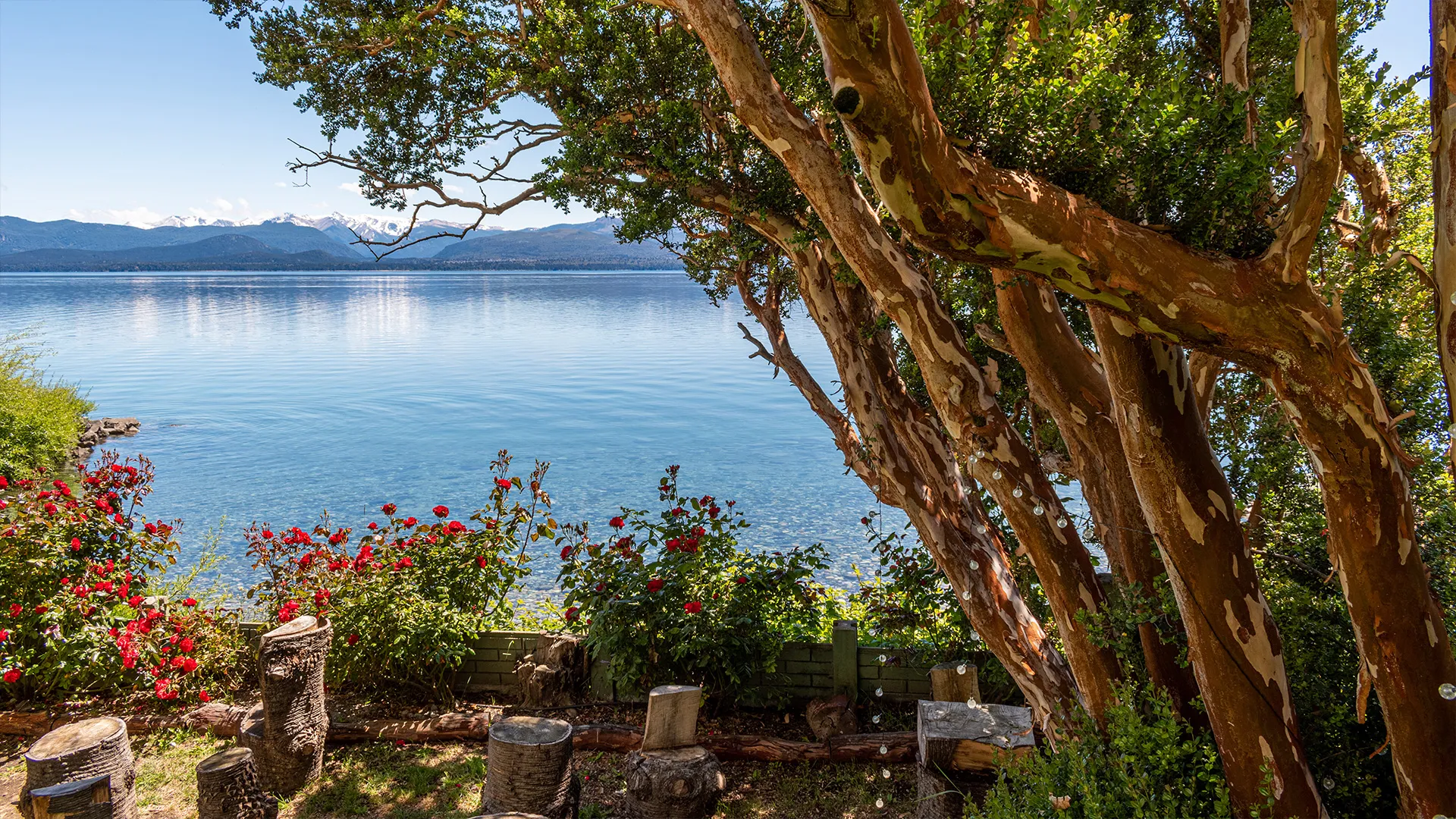 Fotografía del jardín de Lake Inn